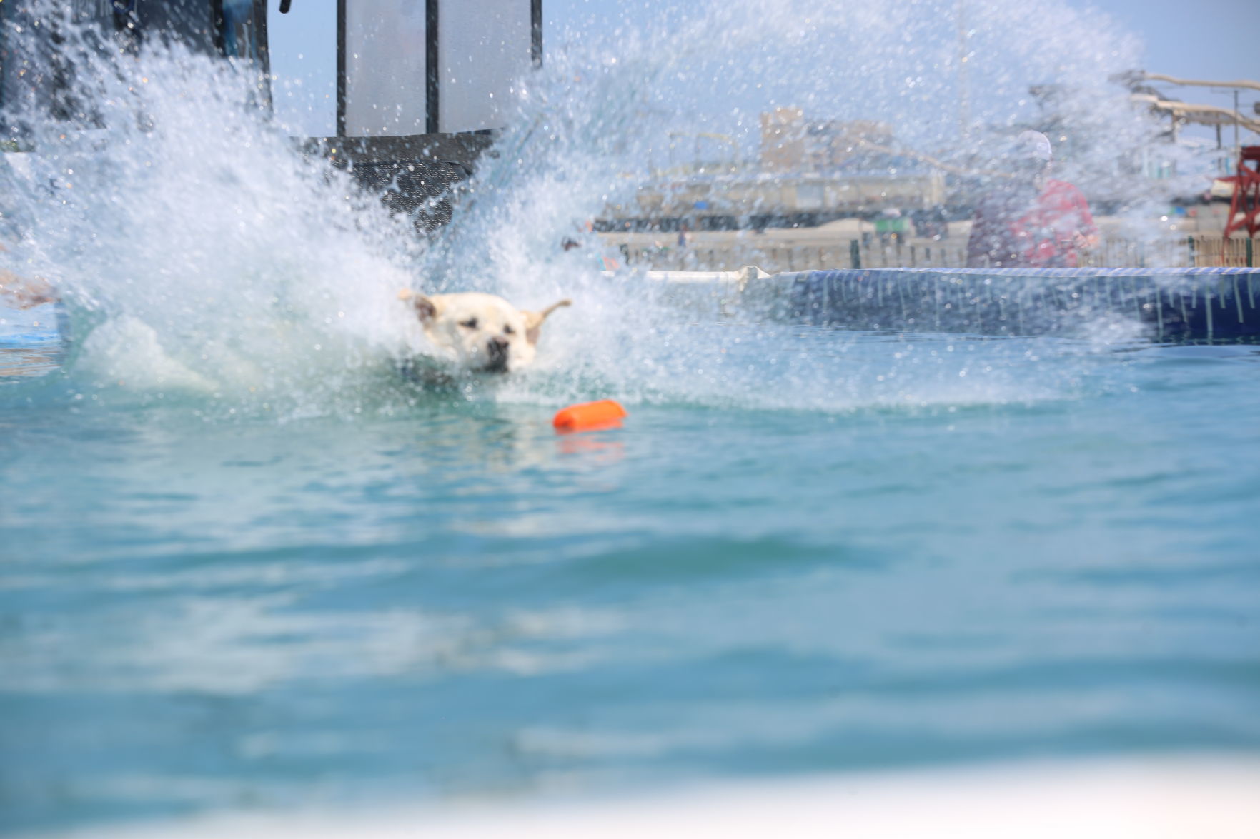 090919_gal_dockdogsWW (75)